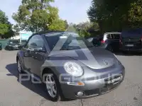 2010 Volkswagen BEETLE