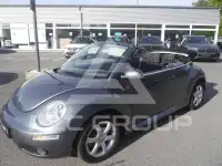 2010 Volkswagen BEETLE