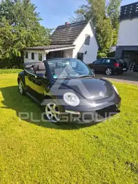 2010 Volkswagen BEETLE