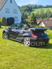 2010 Volkswagen BEETLE