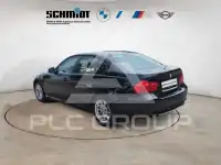 2011 BMW 316