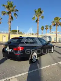 2011 BMW 520