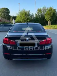 2011 BMW 520