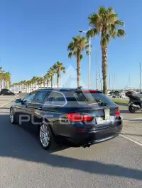 2011 BMW 520