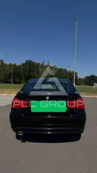 2011 BMW 318