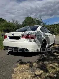 2011 BMW 318