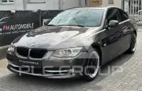 2011 BMW 318