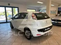 2011 Fiat Punto