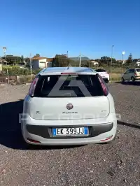 2011 Fiat Punto