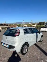 2011 Fiat Punto