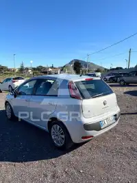 2011 Fiat Punto