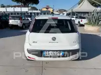 2011 Fiat Punto