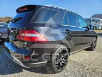 2011 Mercedes Benz ML 250