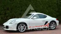 2011 Porsche Cayman