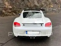 2011 Porsche Cayman