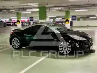 2011 Peugeot RCZ