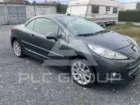 2011 Peugeot 207