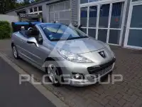 2011 Peugeot 207