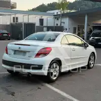 2011 Peugeot 207