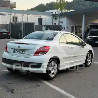 2011 Peugeot 207