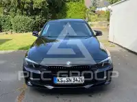 2012 BMW 316