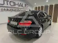 2012 BMW 316