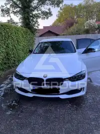2012 BMW 316