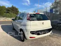 2012 Fiat Punto