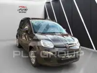 2012 Fiat Panda