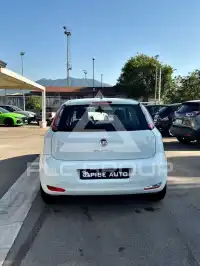 2012 Fiat Punto