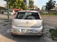 2012 Fiat Punto