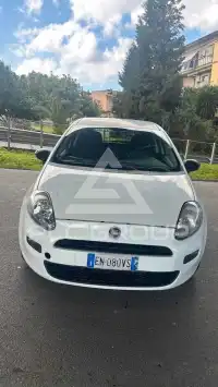 2012 Fiat Punto
