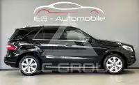 2012 Mercedes Benz ML 250
