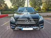 2012 Mercedes Benz ML 250