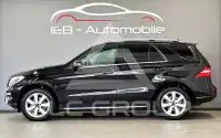 2012 Mercedes Benz ML 250