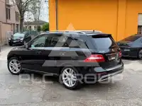 2012 Mercedes Benz ML 250