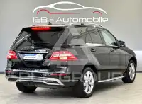 2012 Mercedes Benz ML 250