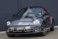 2012 Volkswagen BEETLE