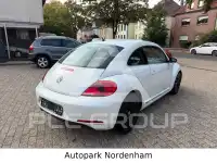 2012 Volkswagen BEETLE