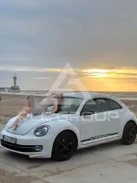 2012 Volkswagen BEETLE