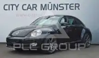 2012 Volkswagen BEETLE
