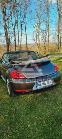 2012 Volkswagen BEETLE
