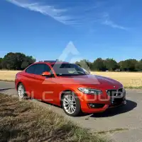 2013 BMW 220