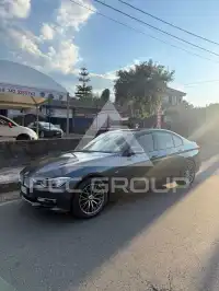 2013 BMW 316