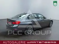 2013 BMW 316