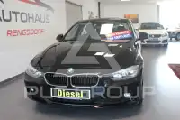 2013 BMW 316