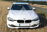 2013 BMW 316