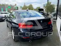 2013 BMW 316