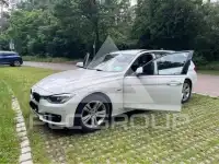 2013 BMW 316