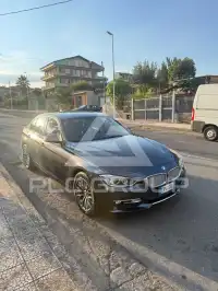 2013 BMW 316